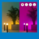Philips 8720169071797 LED Starterset Elpas Bollard | 4,8W integrierte LED-Quelle | 320 lm | 2700-5000K