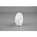 TRIO R22520101 LED Steckdosenleuchte Marlin 1x0,6W | 3000K - mit Bewegung- und Dämmerungssensor