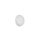 Trio TR24431131 LED Wandleuchte DAVEY | 1,5W integrierte LED-Quelle