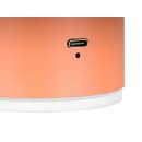 Trio TR24431140 LED Wandleuchte DAVEY | 1,5W integrierte LED-Quelle