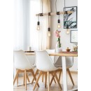 TRIO R30244032 Pendelleuchte Brody 4x42W | E27
