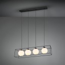 TRIO R30404032 Pendelleuchte Gabbia 4x40W | E14