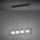 TRIO R30404032 Pendelleuchte Gabbia 4x40W | E14