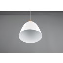 Trio R30681031 Hängende Deckenleuchte Jagger 1x40w | E27 - Holz, weiß