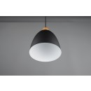 Trio R30681032 Hängende Deckenleuchte Jagger 1x40w | E27 - schwarz