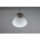 Trio R30681067 Hängende Deckenleuchte Jagger 1x40w | E27 - Nickel