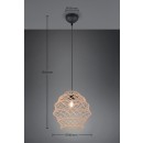 Trio TR31681936 Pendelleuchte HIVE E27