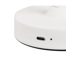 Trio R53621101 LED Tischlampe KENNY | 2W integrierte LED-Quelle | 140lm | 3000K | mit Schalter | Dimmer