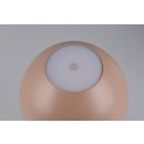 Trio TR54106165 LED Tischlampe RICARDO | 1,7W integrierte LED-Quelle