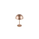 Trio TR54891165 LED Tischlampe MUNOZ | 1,3W integrierte LED-Quelle