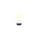 Trio TR54981131 LED Tischlampe DOOLEY | 1,5W integrierte LED-Quelle