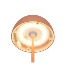 Trio TR55601140 LED Tischlampe ORTIZ | 2W integrierte LED-Quelle