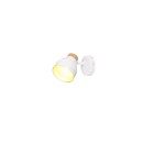 Trio TR81921731 Spot-Wandleuchte VALENTIN E14
