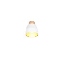 Trio TR81921731 Spot-Wandleuchte VALENTIN E14