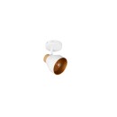 Trio TR81921731 Spot-Wandleuchte VALENTIN E14