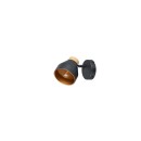 Trio TR81921732 Spot-Wandleuchte VALENTIN E14