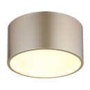 Globo RAYMOND 56964G LED Deckenleuchte | 12W LED | 900lm | 3000K