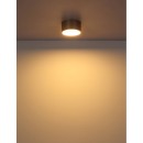 Globo RAYMOND 56964G LED Deckenleuchte | 12W LED | 900lm | 3000K