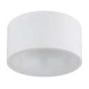 Globo RAYMOND 56964W LED Deckenleuchte | 12W LED | 900lm | 3000K