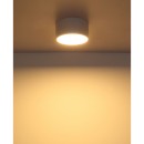 Globo RAYMOND 56964W LED Deckenleuchte | 12W LED | 900lm | 3000K