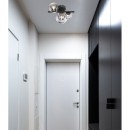 Globo 56133-3W LED-Deckenleuchte Riha 9x3W | 720lm | G9 | 3000K - schwarz, rauchfarben