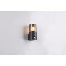 Trio T222260132 Außenwandleuchte HOOSIC E27