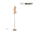 Trio SELECT  T417400779 Stehlampe BUBBLE   G9