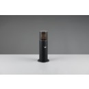 Trio T522260132 Gartenleuchte HOOSIC E27