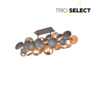 Trio SELECT  T617400842 Deckenleuchte BUBBLE   G9