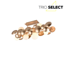 Trio SELECT  T617400879 Deckenleuchte BUBBLE   G9