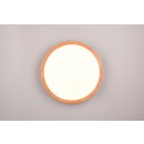 Trio T647410130 LED Deckenleuchte ISEO | 24W integrierte LED-Quelle | 2500lm | 3000K