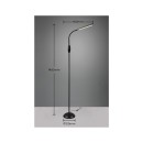 Trio Reality TR47641102 LED Stehlampe TORO | 5W integrierte LED-Quelle | 700lm | 3000+4000+5000K