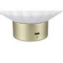 Trio Reality TR57761101 LED Tischlampe LORD | 1,5W integrierte LED-Quelle | 100lm | 3000K