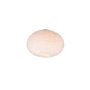 Trio Reality TR61582001 Deckenleuchte FURRY E27