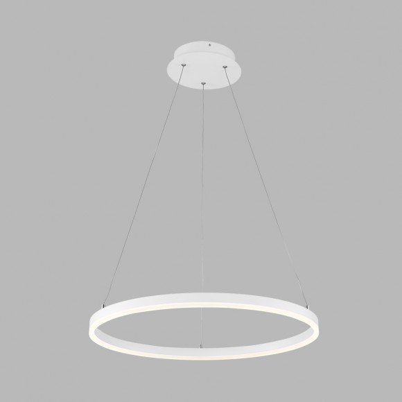 LED2 3270931 LED Hängeleuchte Deckenleuchte CIRCLE 42W | 3000K