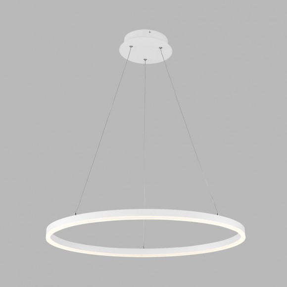 LED2 3271031 LED Hängeleuchte Deckenleuchte CIRCLE 62W | 3000K