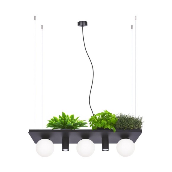 Zuma Line 003749-025970 Pendelleuchte SHELF E14