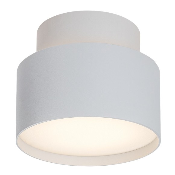 Rabalux 98071324 LED Deckenleuchte Ovidia  | 16W integrierte LED-Quelle | 920lm | 3000K