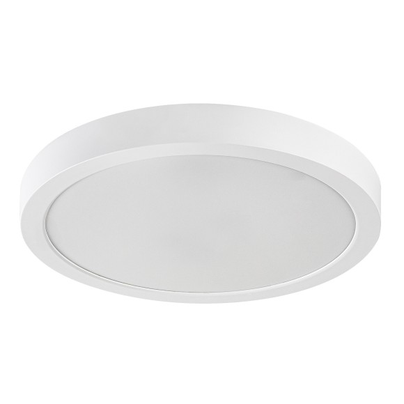 Rabalux 75073 LED Außen-Deckenleuchte ShaunPlus | 30W integrierte LED-Quelle | 3000lm | 4000K | weiß