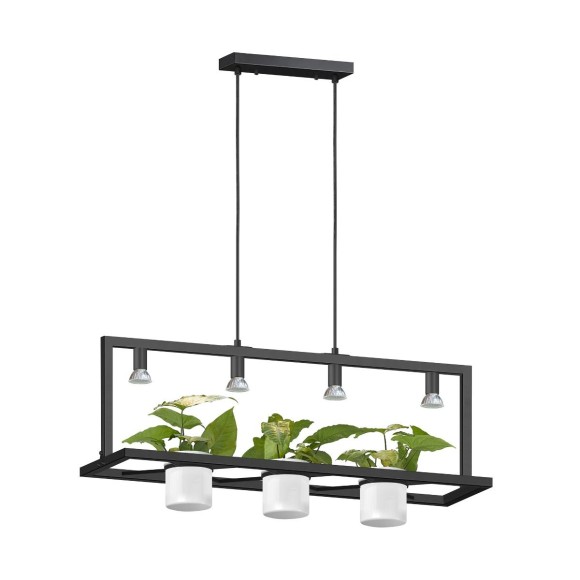 Zuma Line 003064-026362 Pendelleuchte PLANTER GU10