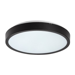 Rabalux 98071435 LED Außen-Deckenleuchte Alenzo  | 12W integrierte LED-Quelle | 780lm | 3000+4000+65