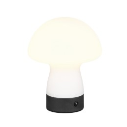 Trio TR54981131 LED Tischlampe DOOLEY | 1,5W integrierte LED-Quelle