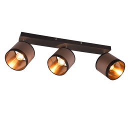 Trio R81553041 Spotleuchte Davos 3x10W | E14 | IP20